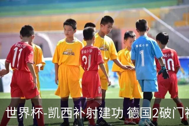 世界杯-凯西补射建功 德国2破门被吹半场暂0-1科特迪瓦